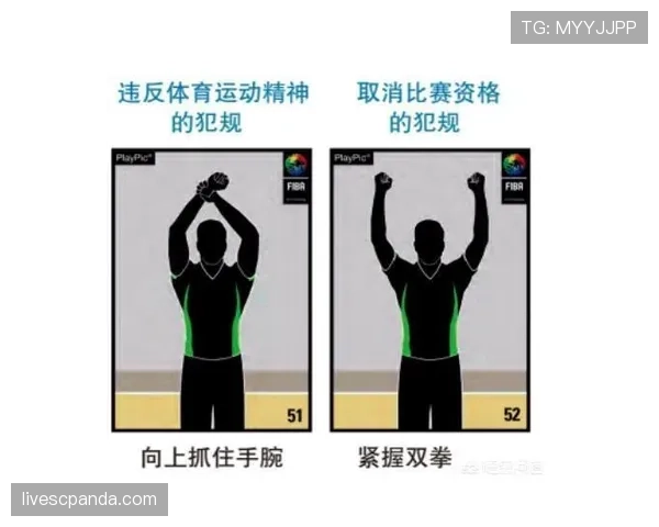 深度解析篮球技术犯规处罚规则的执行标准