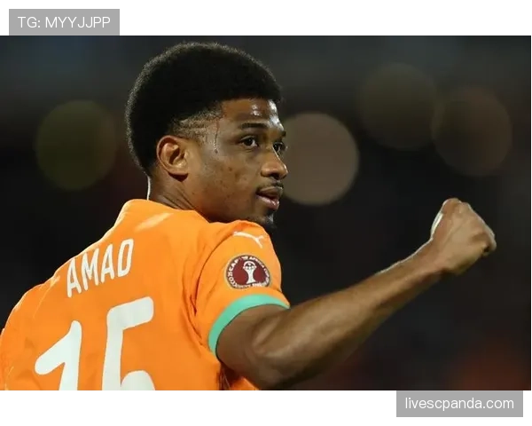 科特迪瓦队能否重返2026世界杯?出线形势与阵容前景分析 科特迪瓦队能否重返2026世界杯?出线形势与阵容前景分析