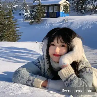 赵鸽